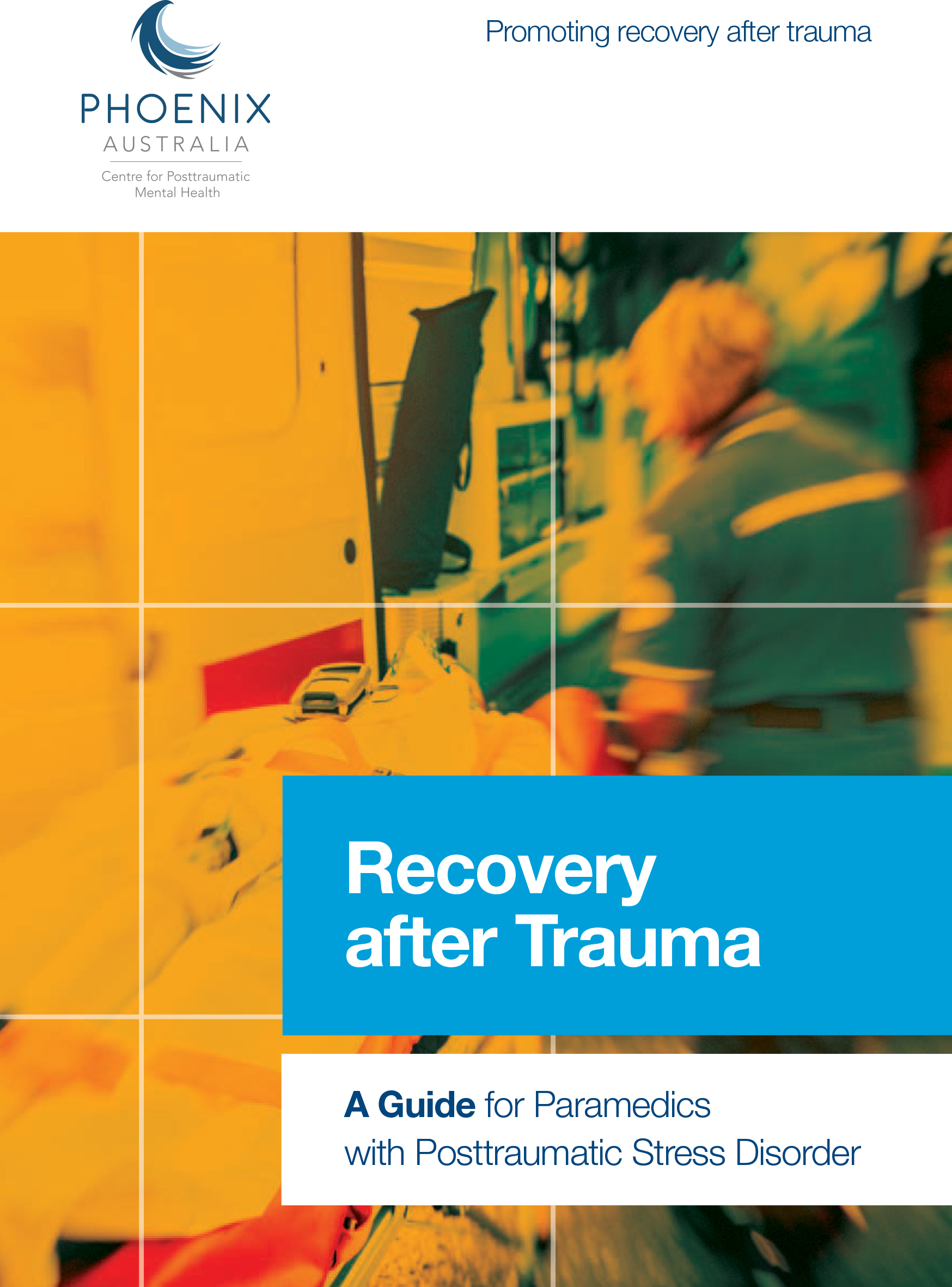 Recovery After Trauma Guides | EML